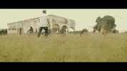 North West Group GIF by Sony Music Africa
