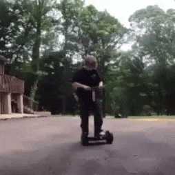 Riding Mount GIF
