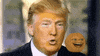 instagram trump GIF