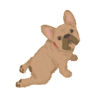 Dogs Puppy Sticker by Better Than Raw