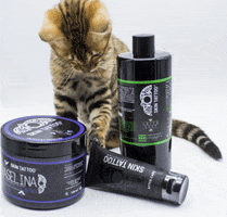 skintattooprotection tattoo protection gatti aftercare GIF
