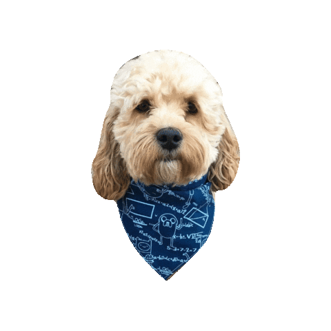 Cas Sticker by Geekster Pets