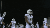 Ncaa Football GIF by Ohio Bobcats