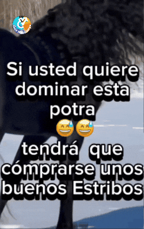 Amigos Esta GIF by Murcianys LLC