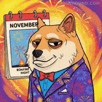 Bonfire Night Smile GIF by Doge Pound