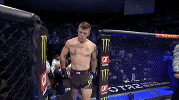 Sport Mma GIF by UFC