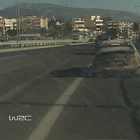 Group B Cars GIF by FIA World Rally Championship