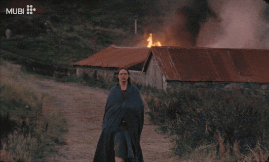 Frank Dillane Harvest GIF by MUBI