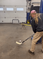 Amazing Baseball-Playing Dog Shows Off Batting Ski