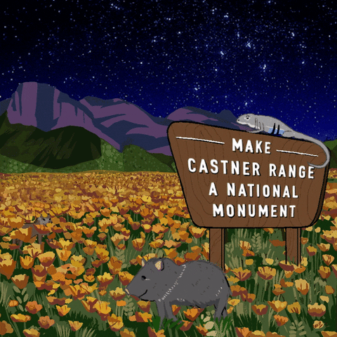 Digital art gif. Gray cartoon iguana languishes on top of a wooden park sign that reads, "Make Castner Range a national monument." Next to the sign are a little red fox and a dark gray warthog, hanging out in a field of orange poppies in front of a large purple mountain range, a dark sky full of sparkling stars in the background.