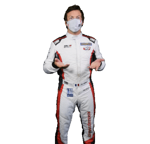 Jean-Karl Vernay Driver Sticker by FIA World Touring Car Cup