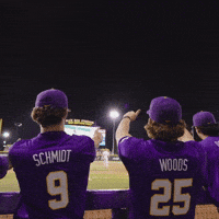 College Sports Thumbs Up GIF by LSU Tigers