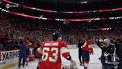 Stanley Cup Playoffs Win GIF by NHL