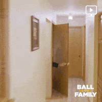 ballinthefamily season 4 episode 16 facebook watch ball in the family GIF