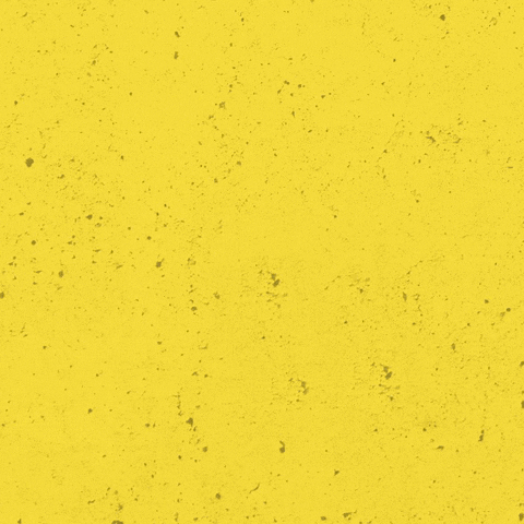 SVLeibenstadt1946 svl 1946 gelbschwarz dorfverein GIF