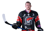 Hokej Sticker by Piráti Chomutov