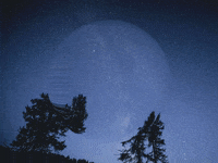 You Can Wow GIF by FranchiseONE.de