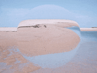 You Can Wow GIF by FranchiseONE.de