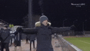 the general football GIF by PAOK FC