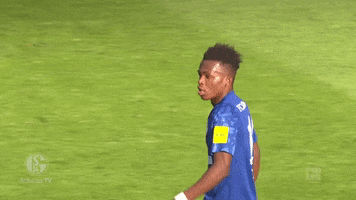 Football Soccer GIF by FC Schalke 04