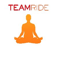 Spin Challenge Sticker by TEAMride Studios