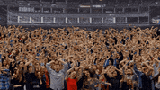 Live Music GIF by Sub Pop Records