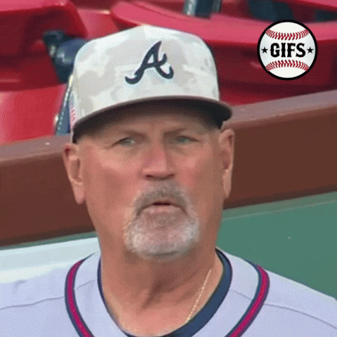 gifs_baseball giphyupload GIF