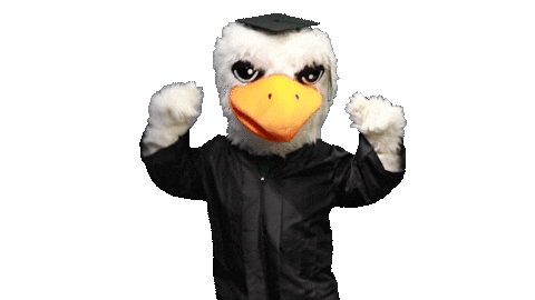 Victory Bayhawks Sticker by Bristol Community College
