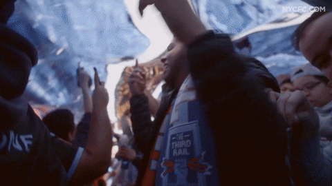 yankee stadium fans GIF by NYCFC