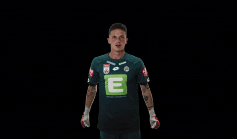 Sturmgraz GIF by SK Sturm