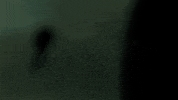 Sub Pop Dancing GIF by Sub Pop Records