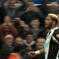 Newcastle United Sport GIF by Newcastle United Football Club