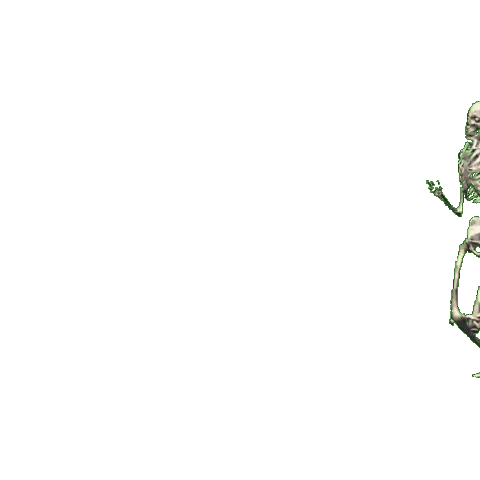 Sarieeeel run skull skeleton greenscreen Sticker