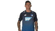 happy tsg hoffenheim Sticker by Bundesliga