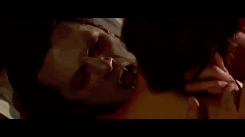 kathiee giphygifmaker vampire bat letalis GIF