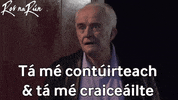 Irish Gaeilge GIF by Ros na Rún
