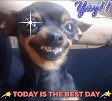 today is the best day GIF by Romy