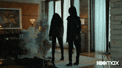 Burn It Down Hbomax GIF by Max