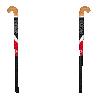 Hockey Sporting Sticker by SHCCalais