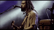 iya terra reggae GIF by Verticals Agency