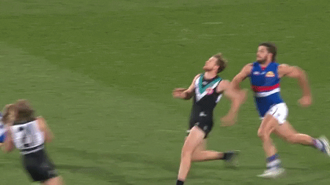 Football Mark GIF by Port Adelaide FC