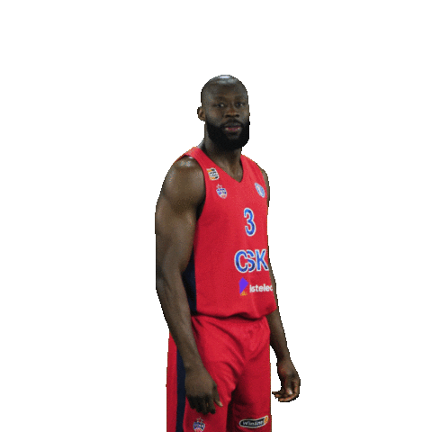 Sport Basketball Sticker by CSKA Moscow