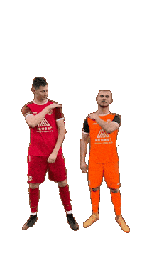 Goal Team Sticker by sgschneifel