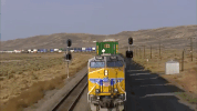 wyoming GIF