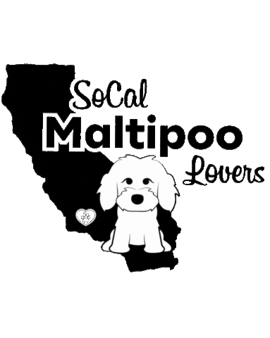 Socal Maltipoo Sticker by MISO PUP