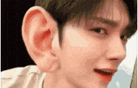 Angry Bird Joshua GIF