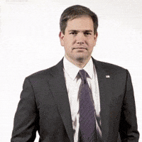 The Flash GIF by Respective