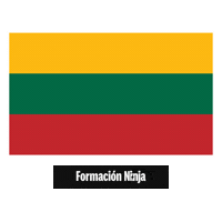Lithuania Flag Sticker by Formación Ninja