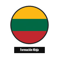 Lithuania Flag Sticker by Formación Ninja