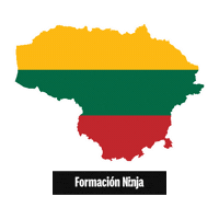 Lithuania Flag Sticker by Formación Ninja